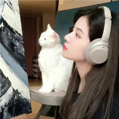 神探狄仁杰